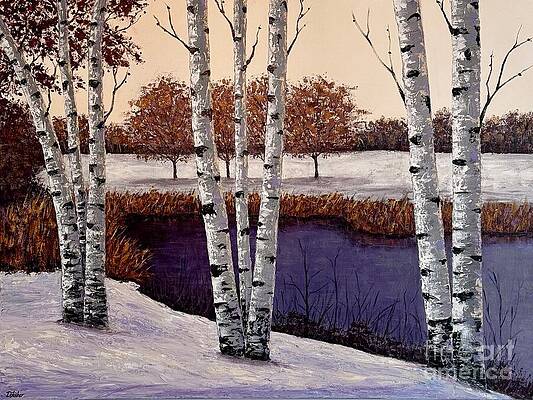 Winters Tranquility  by Darcy Fisher