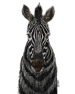 Zebra by MAXLEE Zebra by MAXLEE