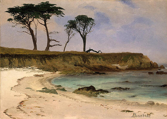 Sea Cove Print by Albert Bierstadt