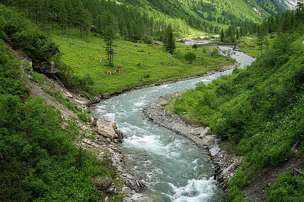  Photograph - Valley in the Austrian alps in summer on a sunny day #12 by Stefan Rotter