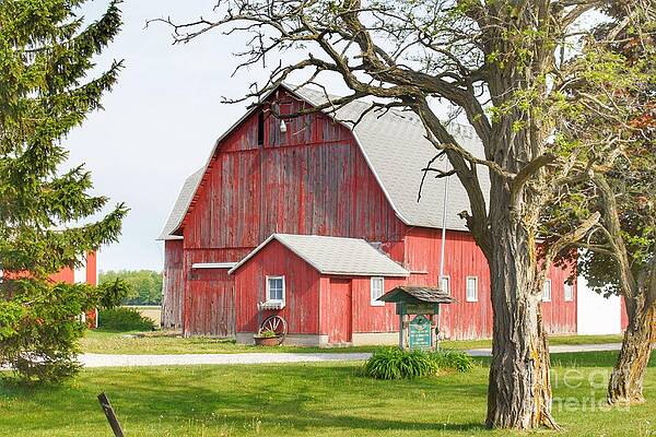 1384 - French Road's Centennial Reds by Sheryl L Sutter 1384 - French Road's Centennial Reds by Sheryl L Sutter
