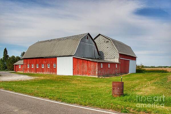 1385 - French Road's Centennial Reds II by Sheryl L Sutter 1385 - French Road's Centennial Reds II by Sheryl L Sutter