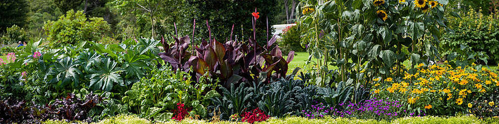 Wall Art - Photograph - Nature Art #15 by Robert Grac