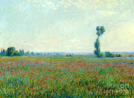 Wall Art - Painting - Poppy field #15 by Claude Monet