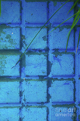 Weathered netal surface by Tom Gowanlock Weathered netal surface by Tom Gowanlock