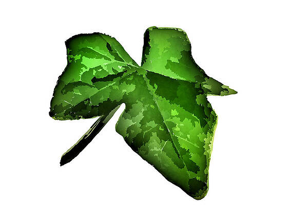 Green leaf illustration on a white background  by Jessada Samotong
