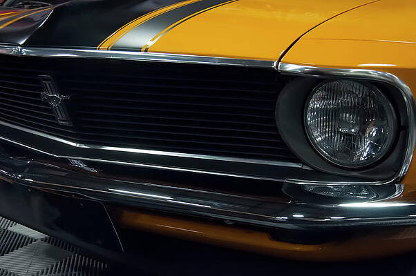 1970 Ford Mustang Boss 302 front clip by Christopher Flees 1970 Ford Mustang Boss 302 front clip by Christopher Flees