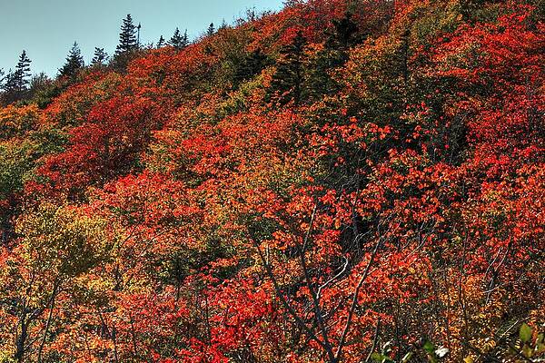 Autumn by David Matthews Autumn by David Matthews