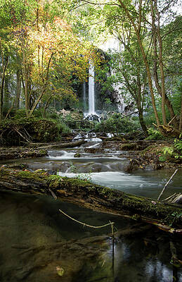 Falling Springs Falls by Jaret Peerson