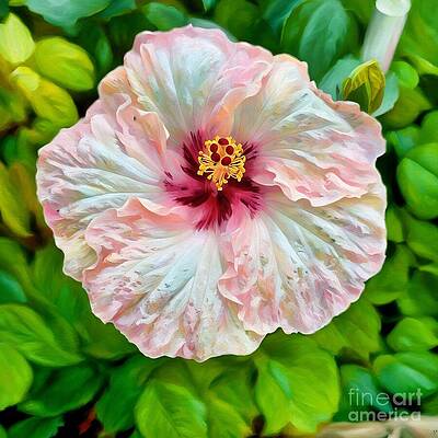 Wall Art - Digital Art - Hibiscus #2 by Laura Forde