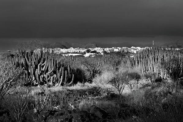 White Photograph - Mountain In Tenerife Island, Canary Islands #2 by Severija Kirilovaite