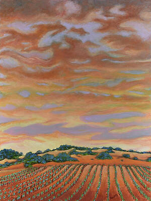 Napa Valley Wine Country by David Hardesty