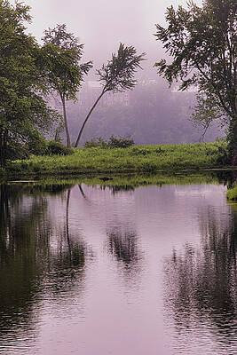 Retreat Meadows Fog by Tom Singleton Retreat Meadows Fog by Tom Singleton