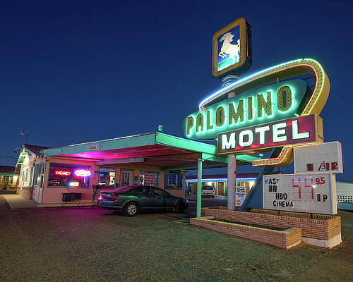 The Palomino Motel by Tim Stanley The Palomino Motel by Tim Stanley