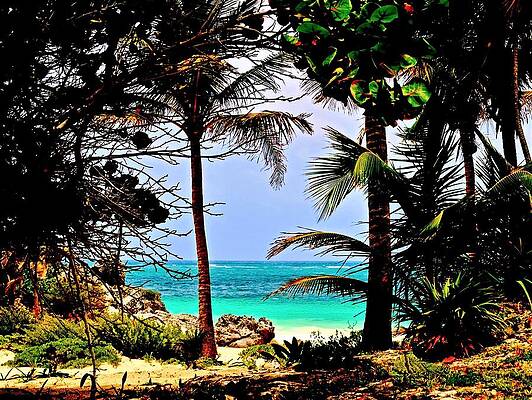 Tullum Beachfront by Dean Williams Tullum Beachfront by Dean Williams