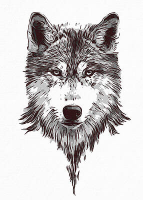 Abstract Wolf Paintings Fine Art America