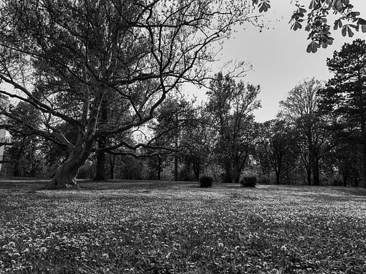 Wall Art - Photograph - Countryside #20 by Robert Grac