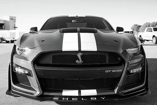 2020 Ford Shelby Cobra GT500 BW2 111221 by Rospotte Photography 2020 Ford Shelby Cobra GT500 BW2 111221 by Rospotte Photography
