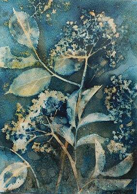 21 x 30_VEGETAL 16 by Cornelia Tersanszki 21 x 30_VEGETAL 16 by Cornelia Tersanszki