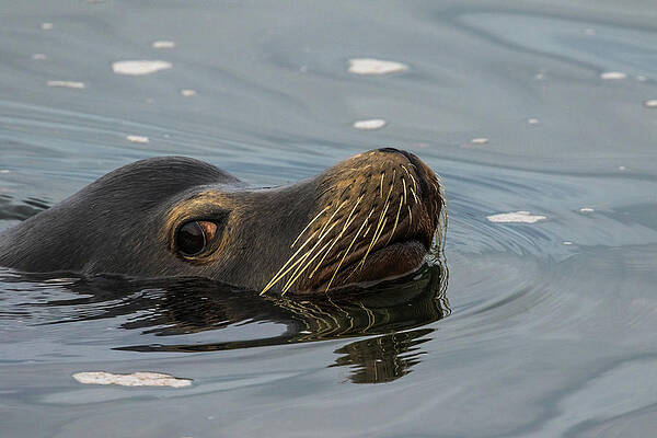Eye spy by Michelle Pennell Eye spy by Michelle Pennell