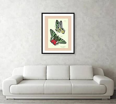 Wall Art - Mixed Media - For visualization only Not for sale #3 by Lorena Cassady