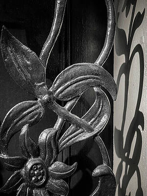 Savannah Wrought Iron Garden Gate, Savannah, Georgia by Dawna Moore Savannah Wrought Iron Garden Gate, Savannah, Georgia by Dawna Moore