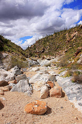 Taque Verde Canyon AZ by Chris Smith Taque Verde Canyon AZ by Chris Smith