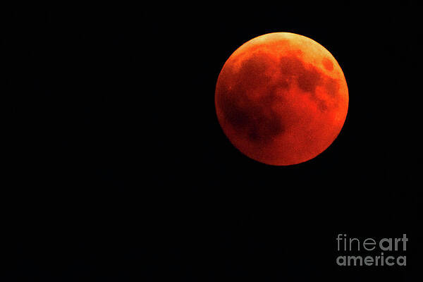 Total red lunar eclipse by Benny Marty Total red lunar eclipse by Benny Marty