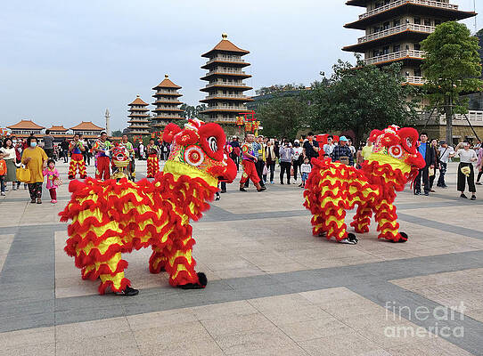 Traditional Chinese Lion Dance by Yali Shi Traditional Chinese Lion Dance by Yali Shi