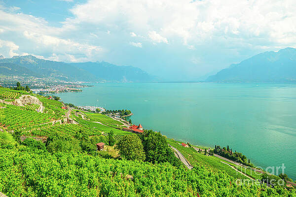 Vineyards of Lavaux by Benny Marty Vineyards of Lavaux by Benny Marty