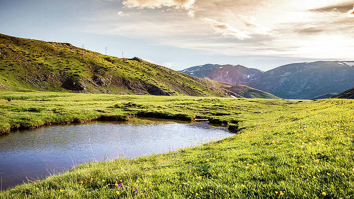 Nature by Aleksandar Tomovski Nature by Aleksandar Tomovski