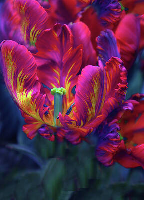 Wall Art - Photograph - Rapturous Rococo  by Jessica Jenney