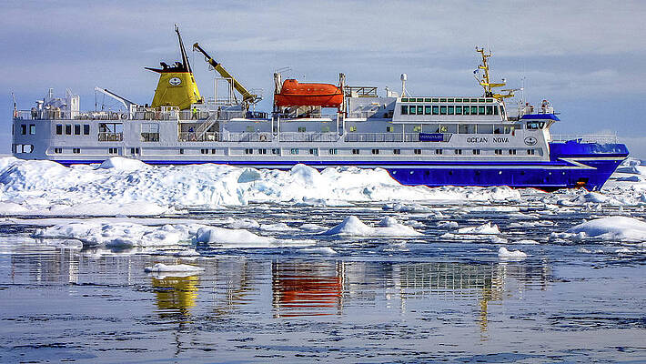 Wall Art - Photograph - Antarctica #38 by Paul James Bannerman
