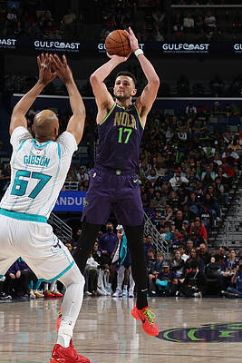 Wall Art - Photograph - Charlotte Hornets v New Orleans Pelicans #4 by Layne Murdoch Jr.