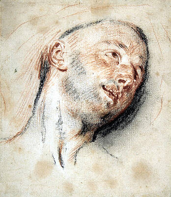 Head Of A Man Print by Antoine Watteau