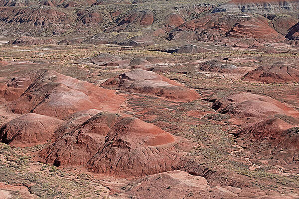 Wall Art - Photograph - Painted Desert - Petrified Forest National Park #6 by Richard Krebs