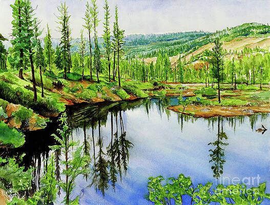 #439 Reflection by William Lum #439 Reflection by William Lum