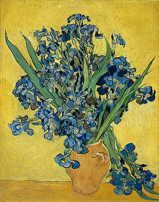 Irises Print by Vincent van Gogh