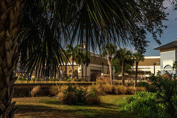 A Stroll Around the Complex by Ric Schafer A Stroll Around the Complex by Ric Schafer