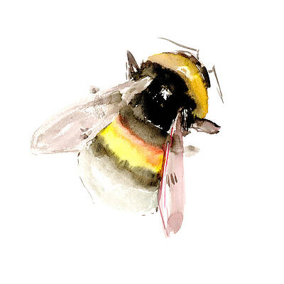 Bumble bee #2 Bath Towel by Sarah Stribbling - Fine Art America