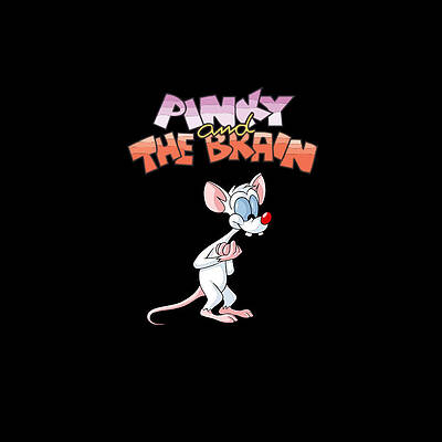 Pinky And The Brain Giant Wall Mural Art Poster Picture Print 47x33 Inches 