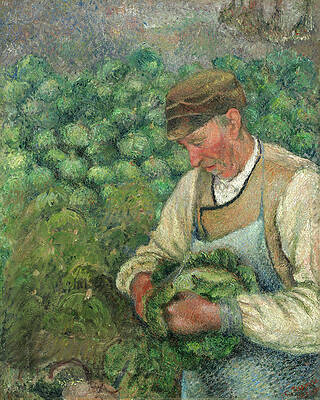 The Gardener, Old Peasant With Cabbage Print by Camille Pissarro