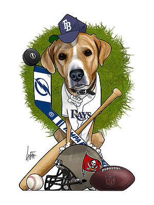 Tampa Bay Rays Drawings for Sale - Fine Art America