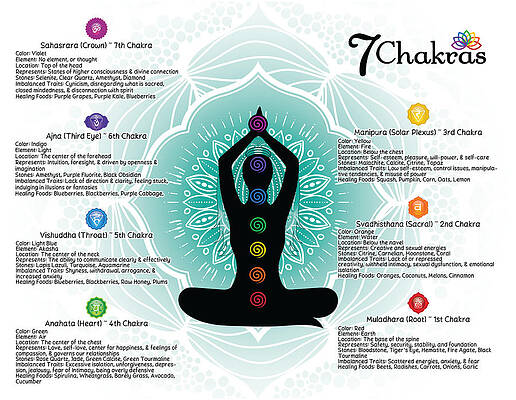 7 Chakra Chart - 56 by Serena King