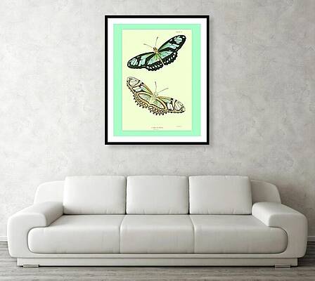Wall Art - Mixed Media - For visualization only Not for sale #7 by Lorena Cassady