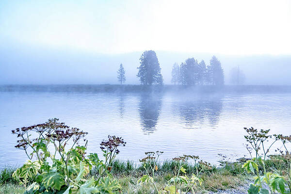 Hayden Valley and Yellowstone River, Yellowstone National Park by ALEX GRICHENKO Hayden Valley and Yellowstone River, Yellowstone National Park by ALEX GRICHENKO
