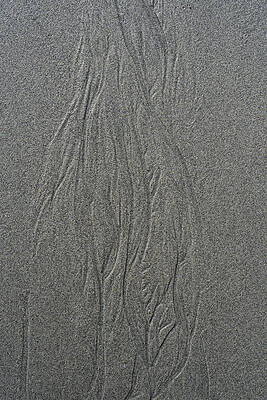 Wall Art - Photograph - Coastal Patterns and Textures #10 by Shankar Adiseshan