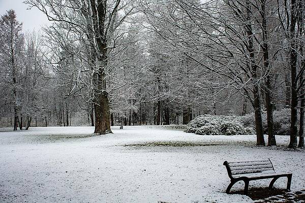 Winter Photograph - Winter Wonderland #9 by Robert Grac