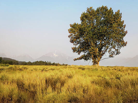Wall Art - Photograph - Wyoming - Grand Tetons #9 by Robert Niemeier