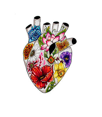 Wall Art - Drawing - A Beautiful Heart by April Cutler